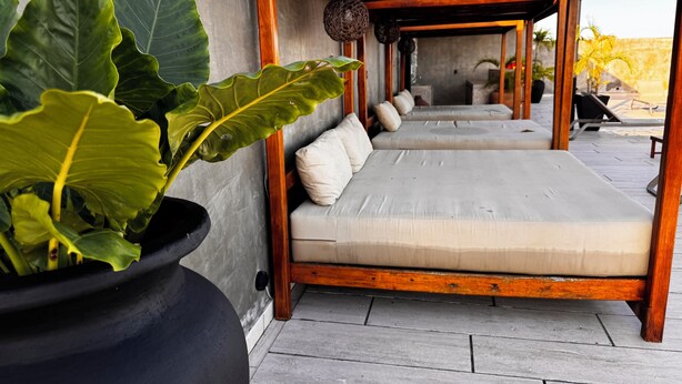 A long, wooden-framed sofa bed with a cushion, positioned against a grey wall, with a large potted plant to the left. - Tuk Tulum by Marea (Tulum)