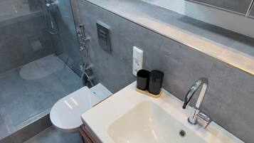 Shower, hair dryer, bidet, towels