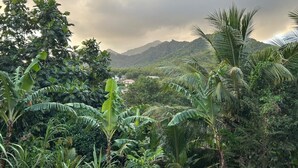 Miscellaneous - 2-Bedroom Apartment - Les Jardins de Delgrès: Set in lush greenery, with views of the sea and mountains (Trois-Rivières)