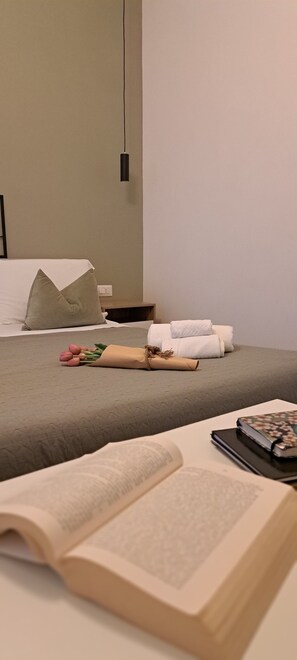 1 chambre, fer et planche à repasser, Wi-Fi, draps fournis