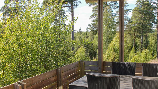Een terras buiten met een houten bank en rieten stoelen, omgeven door weelderige groene beplanting en hoge bomen.