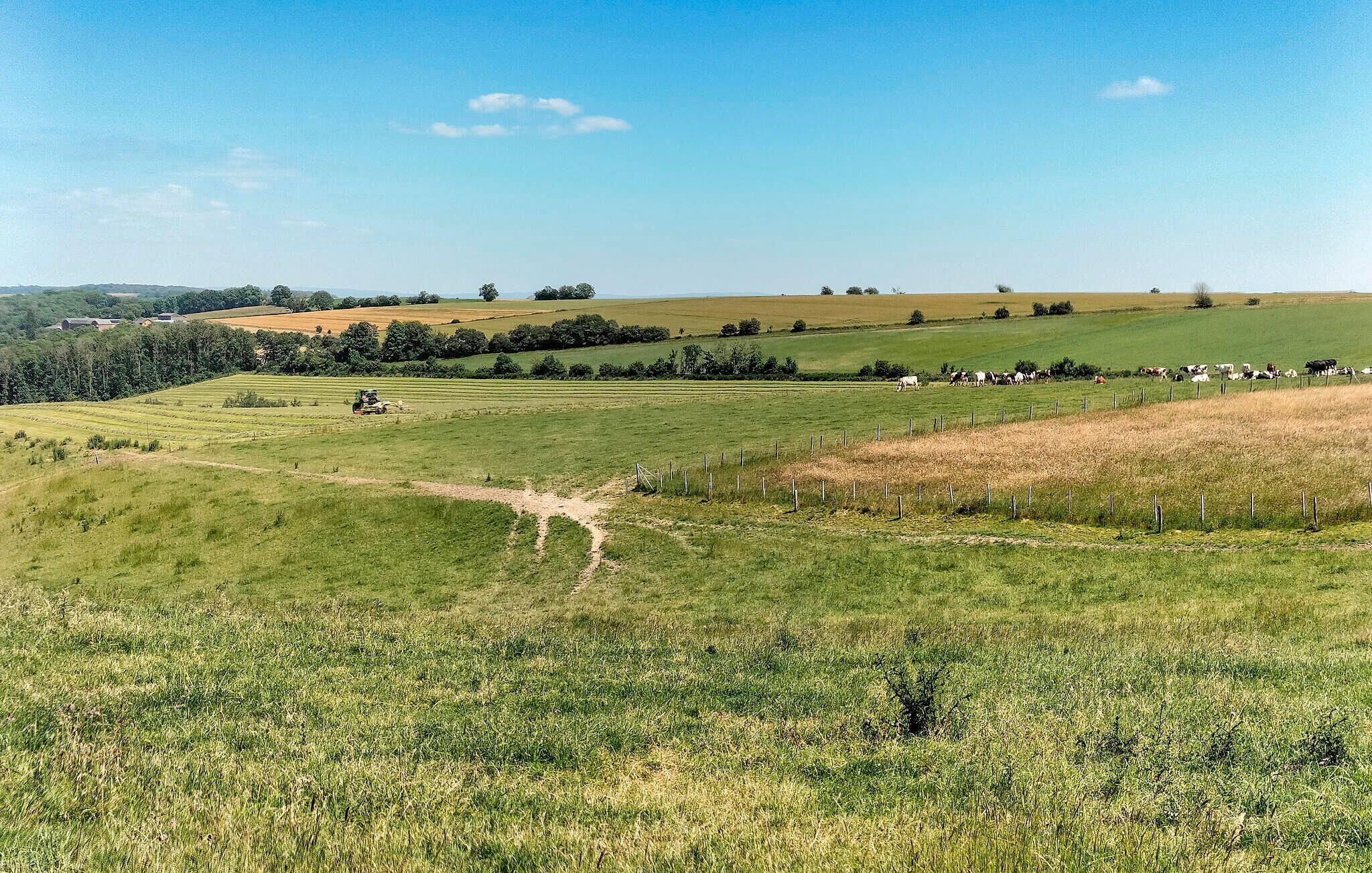Un paysage rural avec des champs, un tracteur et une clôture.