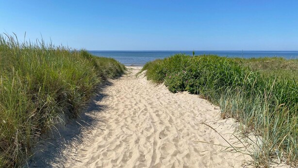 Un sentiero sabbioso costeggiato da erba alta che conduce al mare.