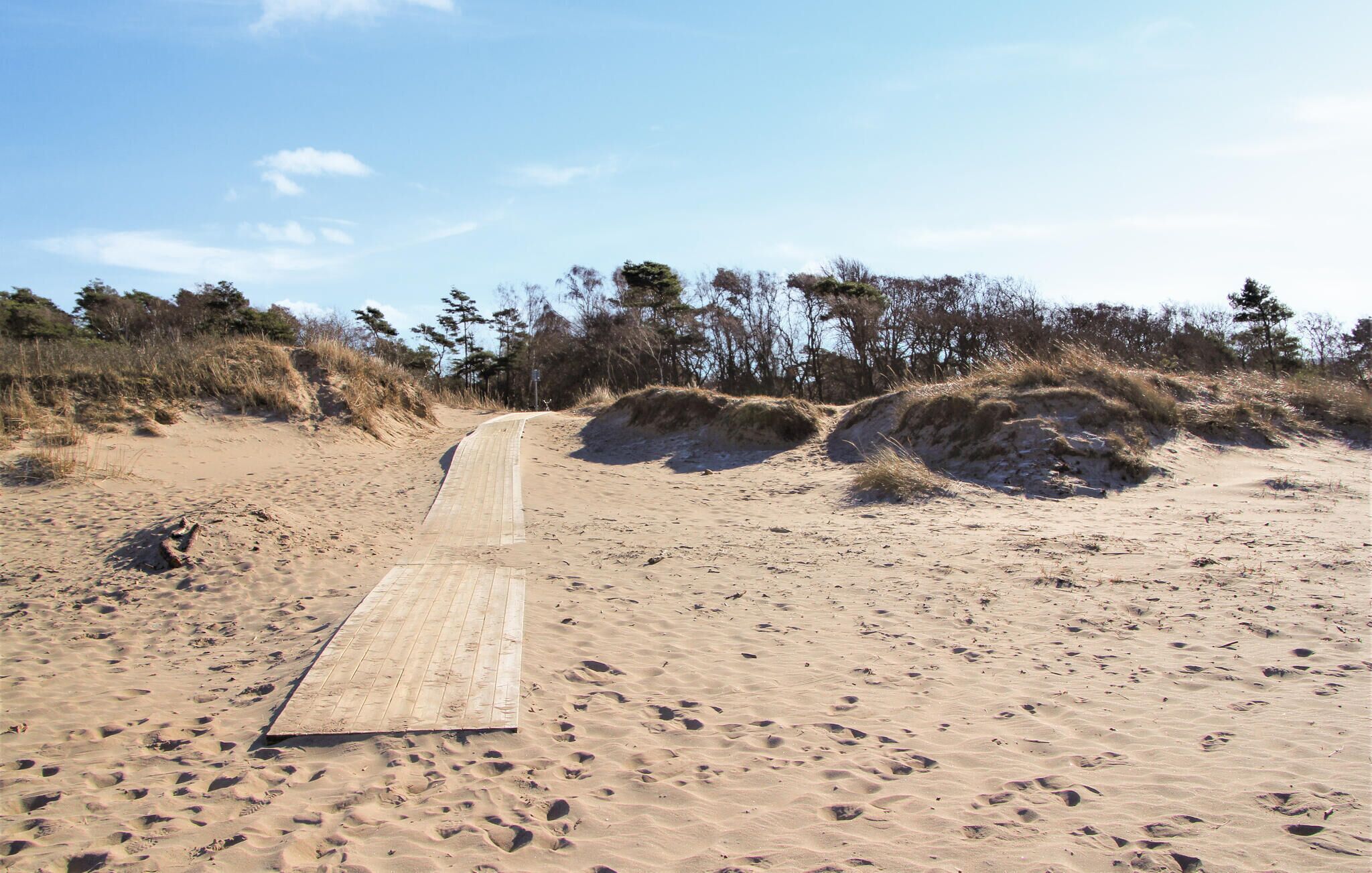 En sandstrand med en träpromenad som leder till sanddynerna.