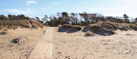 En sandstrand med en träpromenad som leder till sanddynerna.