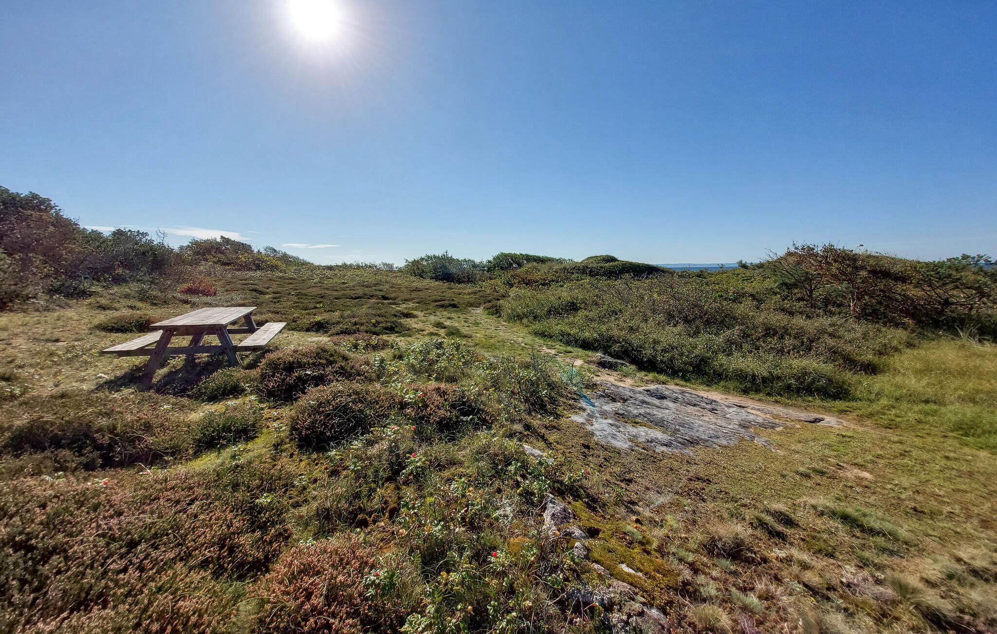 A picnic table in a natural setting with a clear sky.