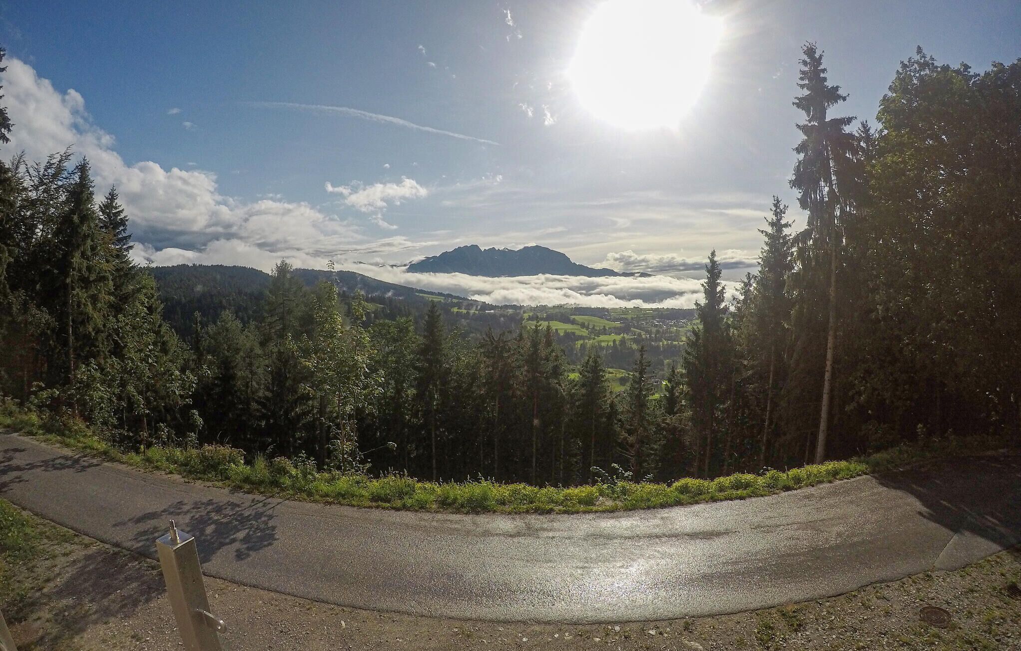 A paved road curving through a forest with a mountain in the background and a clear sky.