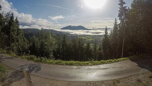 Un camino pavimentado serpentea por un bosque, con una montaña al fondo y cielo despejado.