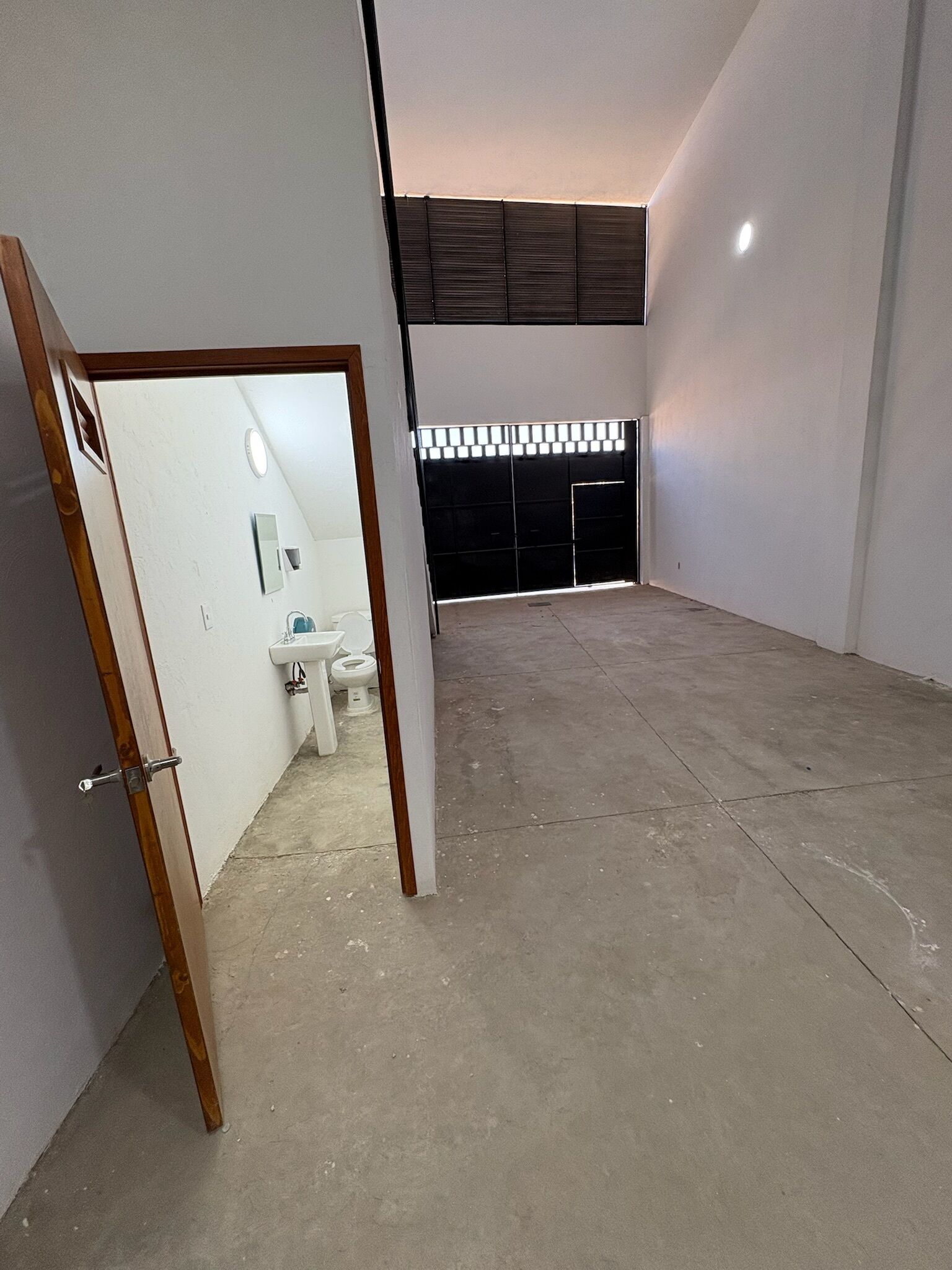 Un espace de vie à aire ouverte avec une salle de bain visible, une grande fenêtre et un plafond doté d’un luminaire.