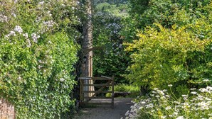 A garden pathway leading to a wooden gate, surrounded by lush greenery and flowering plants. - Battys Barn at Moorbath Farm (Bridport)
