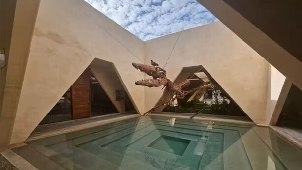 Pool - Elegant home a few steps from the Malecon (Progreso)