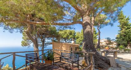 Beautiful Holiday Home in Valldemossa