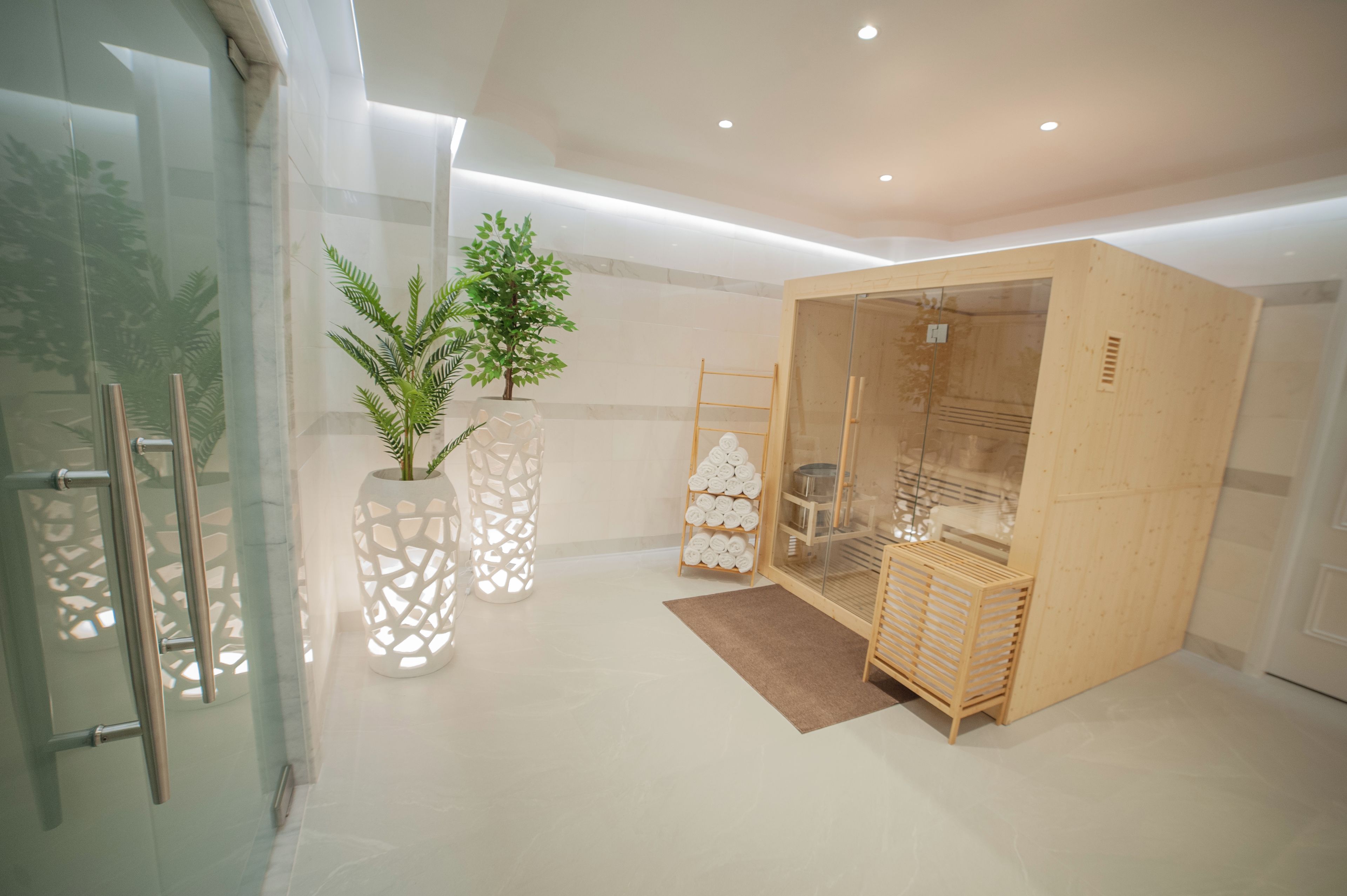 A modern hotel room with a glass door, a wooden cabinet, a plant, and a ladder.