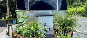 Tranquil Airstream Nature Escape