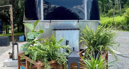 Tranquil Airstream Nature Escape