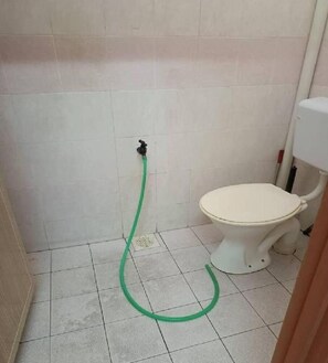 Shower, bidet, towels, soap