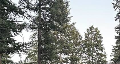 Charming studio guesthouse in delightful Bigfork with AC, WiFi