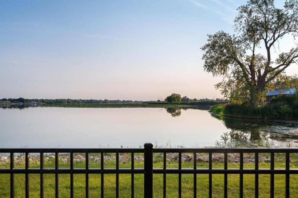 A calm lake with a tree in the foreground and a distant shoreline.