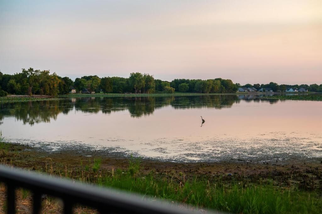 Ein ruhiger See mit einem einzelnen Vogel auf der Wasseroberfläche, umgeben von Bäumen und Häusern in der Ferne.