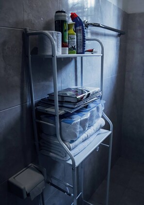 Shower, towels, soap, toilet paper