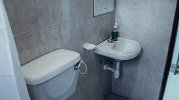 Shower, towels, soap, toilet paper