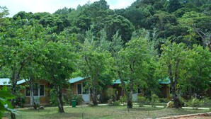 A forested area with cabins and a clear sky.
