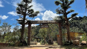 A rustic wooden archway with a sign for 'SCENT VILLAGE' indicating a homestay and camping area.