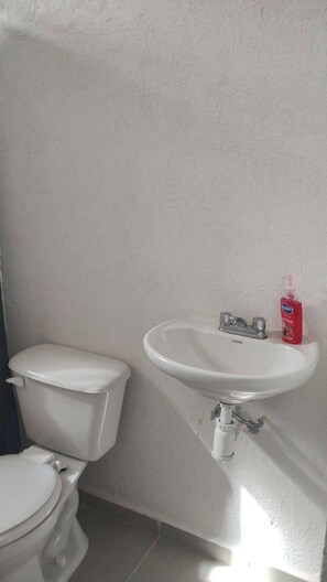 Shower, towels, soap, toilet paper