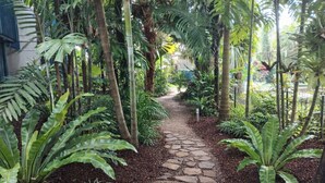 A stone pathway surrounded by lush greenery and tall trees. - Mission Beach Lodge (Mission Beach)