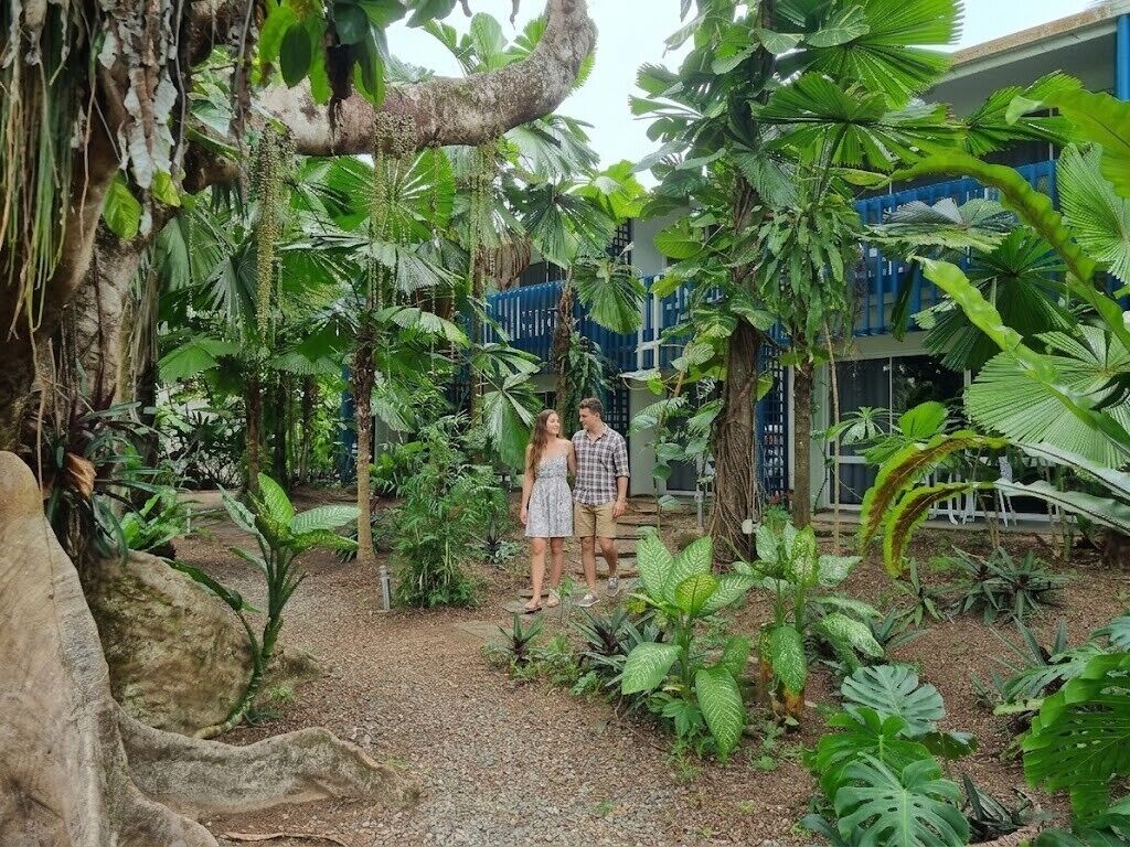 A lush indoor garden with diverse tropical plants and a building in the background.