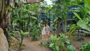 Un exuberante jardín interior con diversas plantas tropicales y un edificio al fondo.