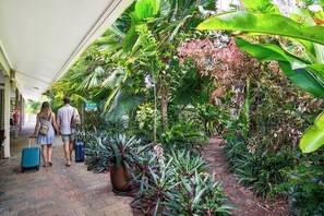 Courtyard - Mission Beach Lodge (Mission Beach)