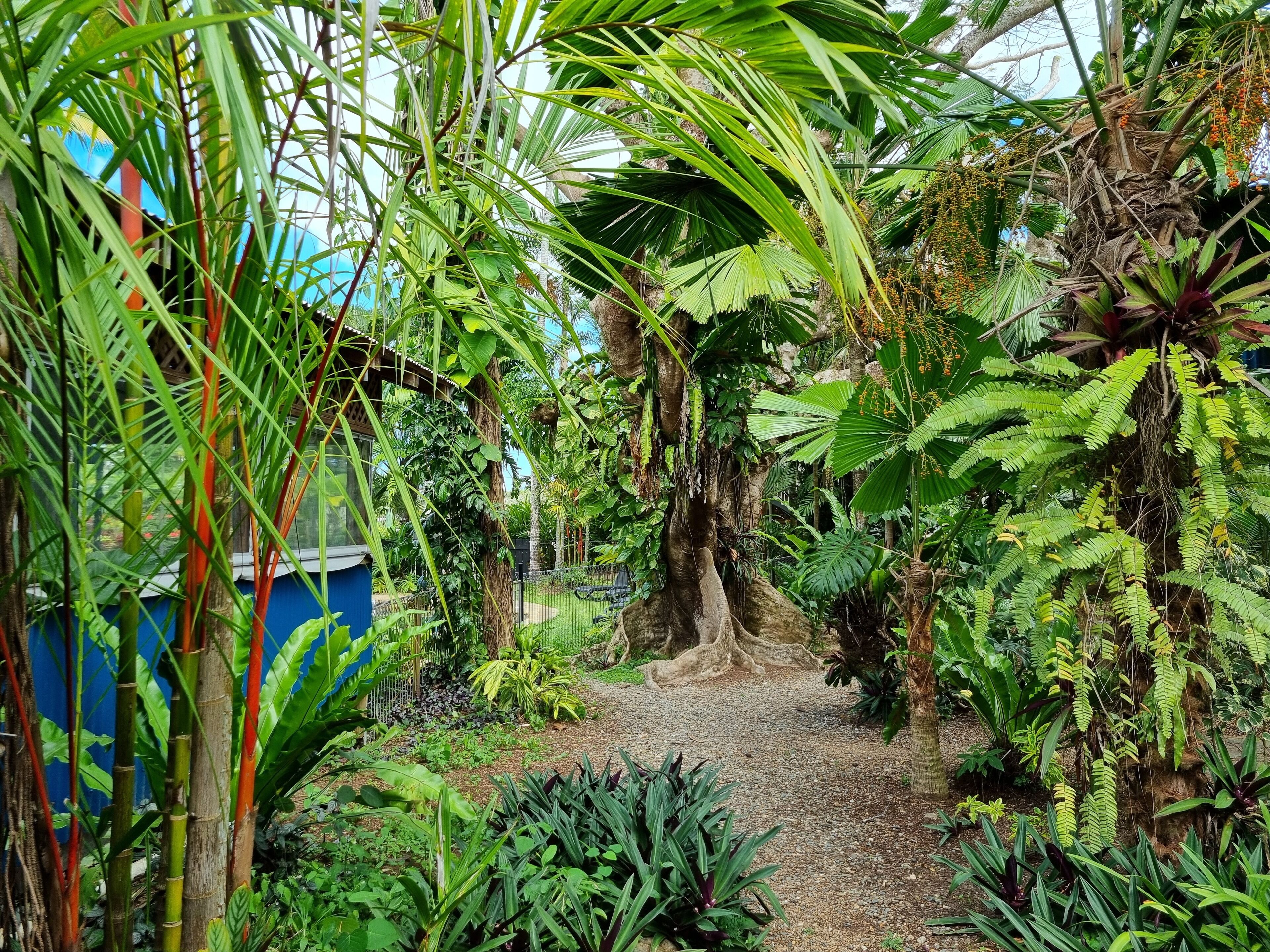 Doppelzimmer, Terrasse | Blick auf den Garten
