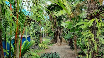 Chambre Double, patio | Vue sur le jardin