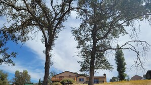 A house with a large yard, surrounded by trees and a clear sky. - Awesome Three-bedroom Retreat on 1.25 acres in Coarsegold with Trails and Views (Coarsegold)