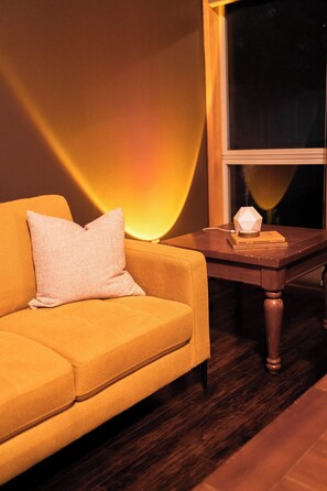 Smart TV, fireplace, DVD player, books