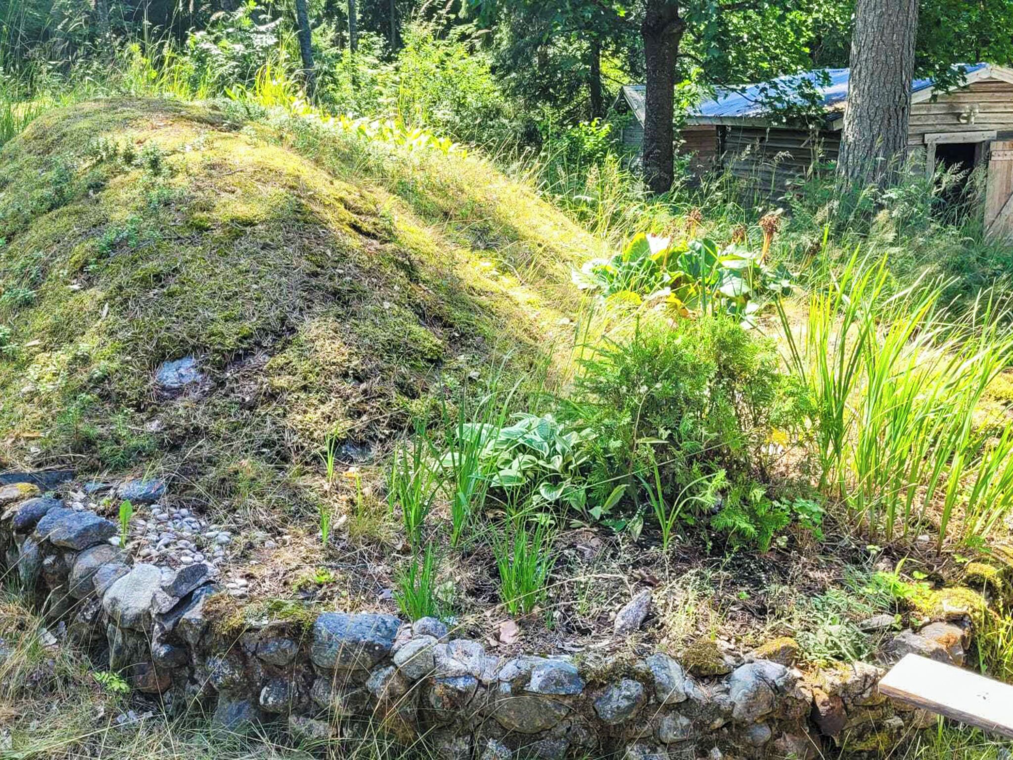 Kivimuuri, jonka vieressä on ruohokasetti ja erilaisia kasveja.