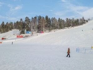 Uklassifisert bilde, 2 av 32, knapp