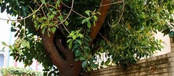 Hostal Entreorientes