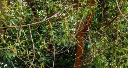 Hostal Entreorientes