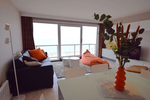 تلفزيون، مشغل دي في دي