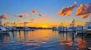 Marina