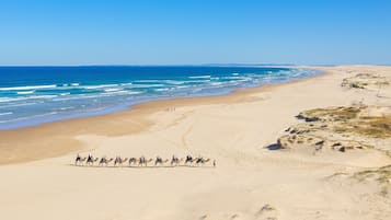 Una playa cerca