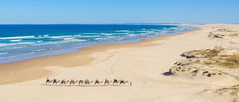 Beach nearby