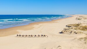 Vlak bij het strand