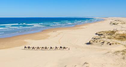 Robinson Retreat with Beach Bungalow, 3 Robinson St - air con, 2 kitchens, 6 bedrooms, 4 bathrooms