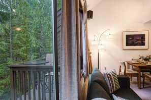 Smart TV, fireplace, DVD player, books