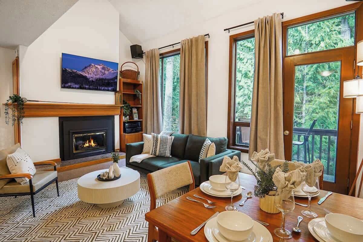 Smart TV, fireplace, DVD player, books