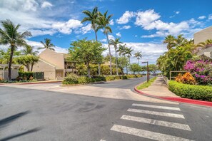 Property grounds - Charming studio with AC and WiFi in pleasant Kihei (Kihei)