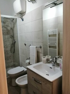 Hair dryer, bidet, towels, soap
